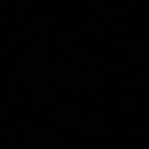 Meet your Posher, Beckett